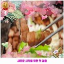 덕천2동-9 | 기미상궁♥북구 덕천2동 인근 맛집 공감식당 덕천삼겹살 우리동네 핫플레이스 요약 정보 드려요.