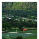 가리왕산가는길 이미지