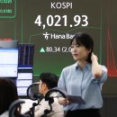4020 매일일보