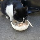 형제모터스 이미지