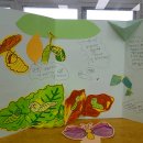 도척초등학교 Daum카페