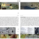 개폼난다 이미지