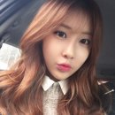 티카페(T-cafe)