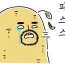 삼양어린이집 이미지