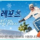 포천베어스타운스키강습렌탈샵엔조이레포츠 이미지