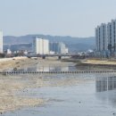 하천 수위관측시스템 이미지