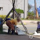 좋은 이웃들 이미지