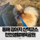 동해체육공원 이미지