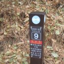죽도봉주차장 이미지