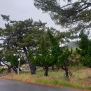 송라해송펜션 이미지