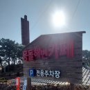 주전블루베리 이미지