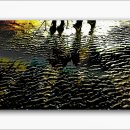 바다이야기 이미지