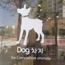 Dog차지 이미지