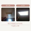 병점1동 주민센터 앞길 | 화성 병점동 상가주택 원룸 거실LED전등교체