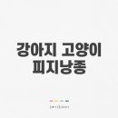 올케어 동물의료센터 이미지