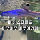 샤크빌리지6 | 파주 스타필드 운정 어푸어푸 아쿠아카페｜아이와 실내체험 내돈내산