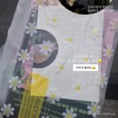 시도 1호선 벚나무 | 26.04 | 노력을 하려는 의지 자체도, 자격이라는 것도 행복한 가정과 사회적 환경에 근거한 것이다