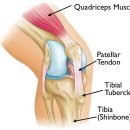 데이동물의료센터 이미지