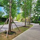 ㈜경일산업 | 서울 성동구 성수동 대장 아파트 아크로서울포레스트 임장 후기