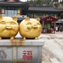 해동사우나 이미지