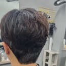 맨즈헤어 231