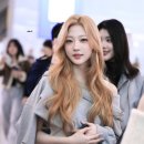 스텔라 이미지