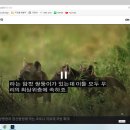 제30강 - PC에서 TV 시청하기(04월 26일) 이미지