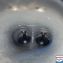 보쉬카서비스 바른차 이미지