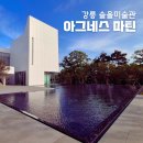 솔올정원 | 강릉 솔올미술관 전시 예매, 주차, 아그네스 마틴 관람 후기