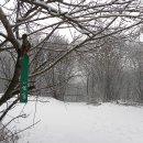 무봉산둘레길 이미지