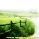 푸른초장 이미지