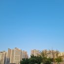 롯데119부동산공인중개사사무소 이미지