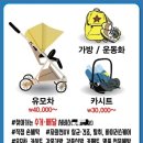 크린팡팡 이미지