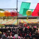 부처님오신날 봉축법요식 | 불기 2569년 부처님오신날 봉축법요식 봉행(25.05.05)