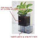 물주기 걱정 필요 없는 자동급수 부착형 심지화분 Wall Garden (월가든)! 이미지