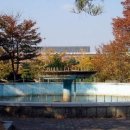 싸이버당구장 이미지