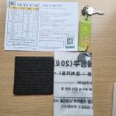 진도힐링하우스 | 무주숙소 향로산자연휴양림 트리하우스 은행나무 객실 이용후기! 숲뷰가 아름다운 힐링 숙소