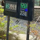 계곡캠핑을 찾는다면 가평 화랑캠핑장!
