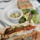 키키앤로지 이미지