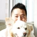 김재윤농장 | 개의 진심을 궁금해 해본적 있나요? [강형욱 훈련사 인터뷰 내용_대학내일에서 퍼왔습니다]