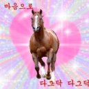 유*일 이미지