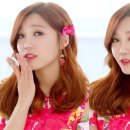 미스터츄 Daum카페