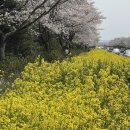 270-4549 | 3월 마지막 주/5박 6일 제주여행✈️🏝️