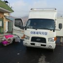 생1리 이미지