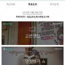 영철스토리펌 이미지