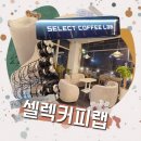 피랩 이미지
