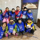 송라태권도 이미지