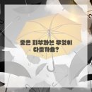 피부정원 이미지