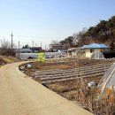 충남 아산시 인주면 도흥리 / 대지, 펜션지 다세대주택지 전원주택지 부동산투자용지 가든부지 / 1 이미지