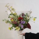 봄의 들판 구경오세요 ✿ ⋆˚✿˖°